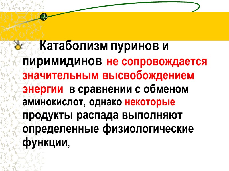 Катаболизм пуринов и пиримидинов  не сопровождается  значительным высвобождением энергии  в сравнении